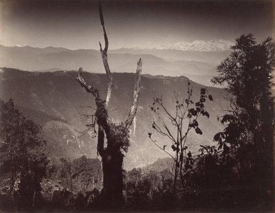 View from Senehal by Samuel Bourne